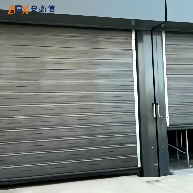 拉萨市金属高速门